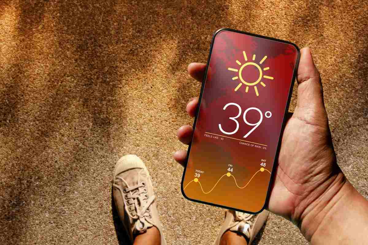 meteo senza smartphone: il metodo della pigna
