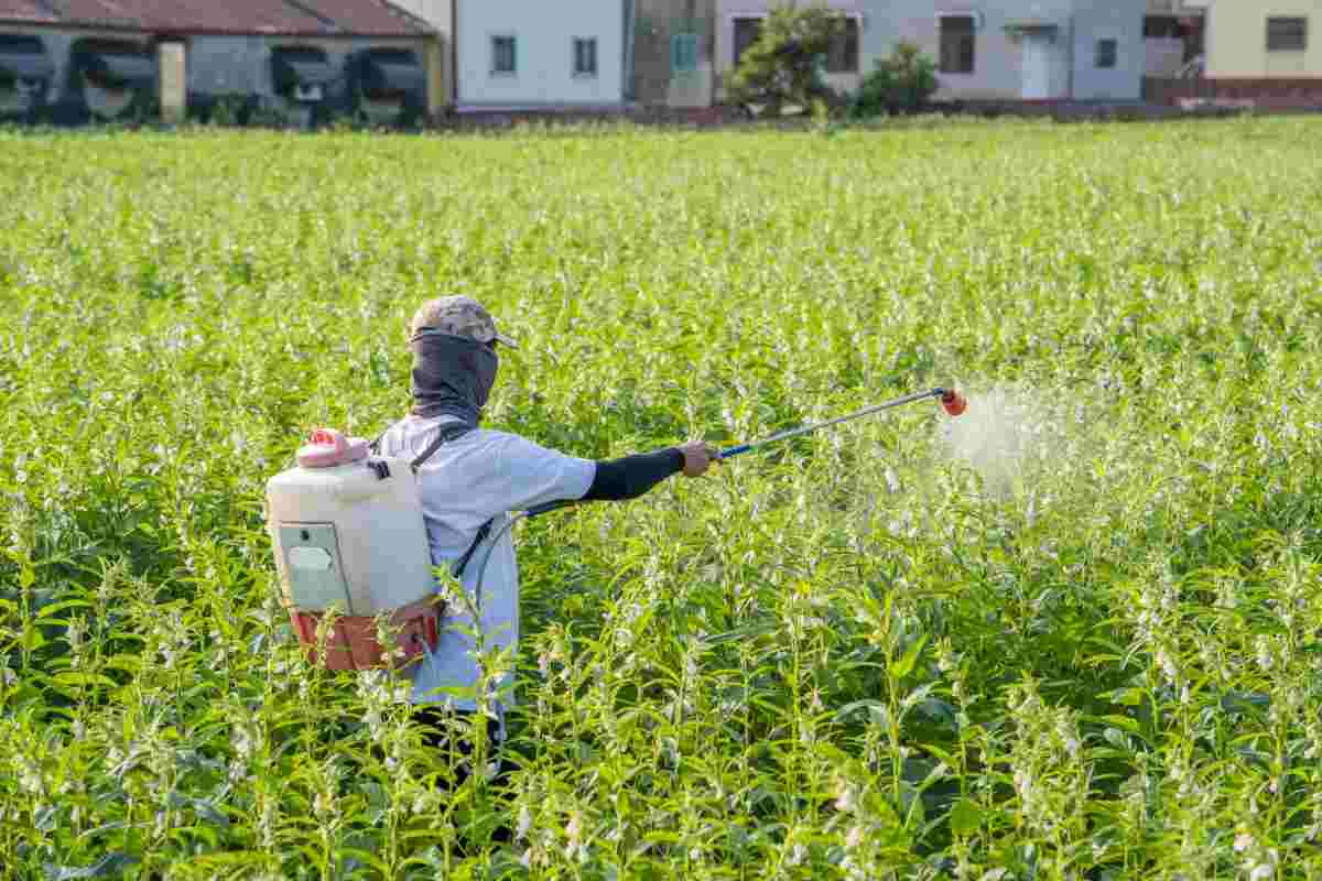 Pesticidi: qual è il limite da non superare