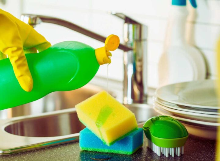 Le spugne per piatti vanno disinfettate così
