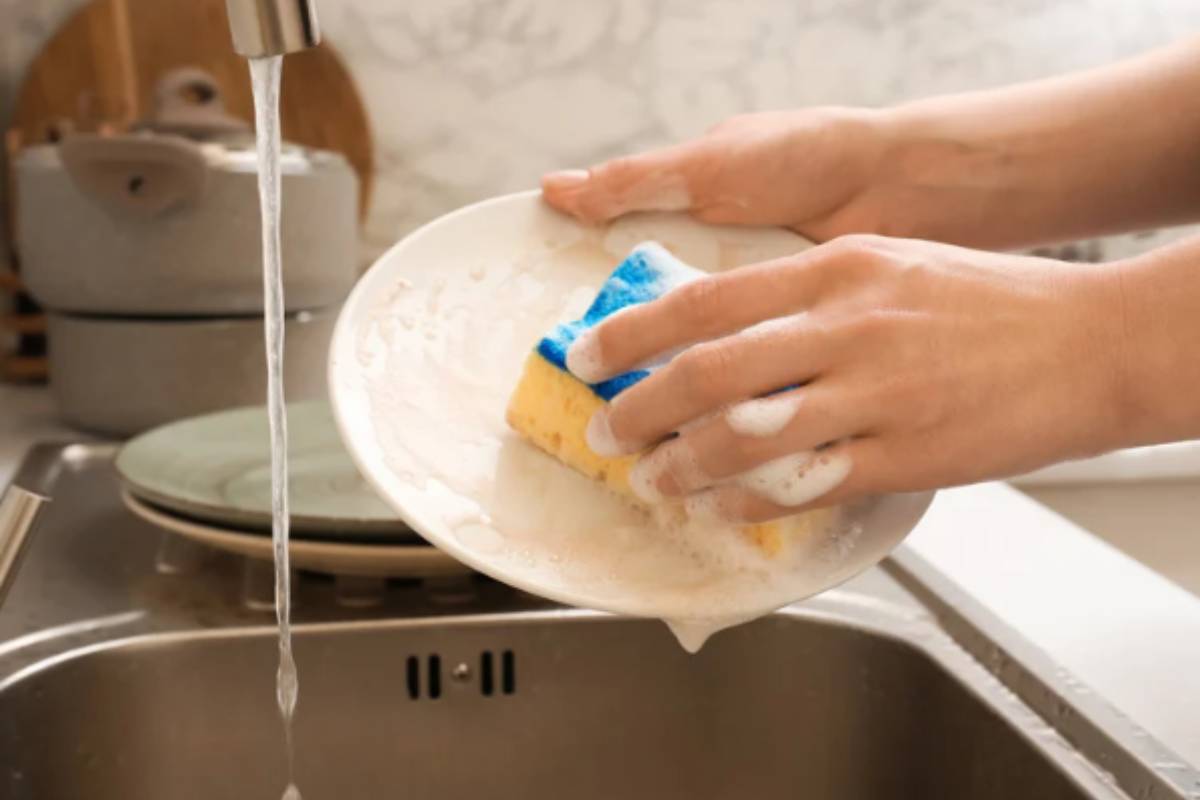 spugne da cucina