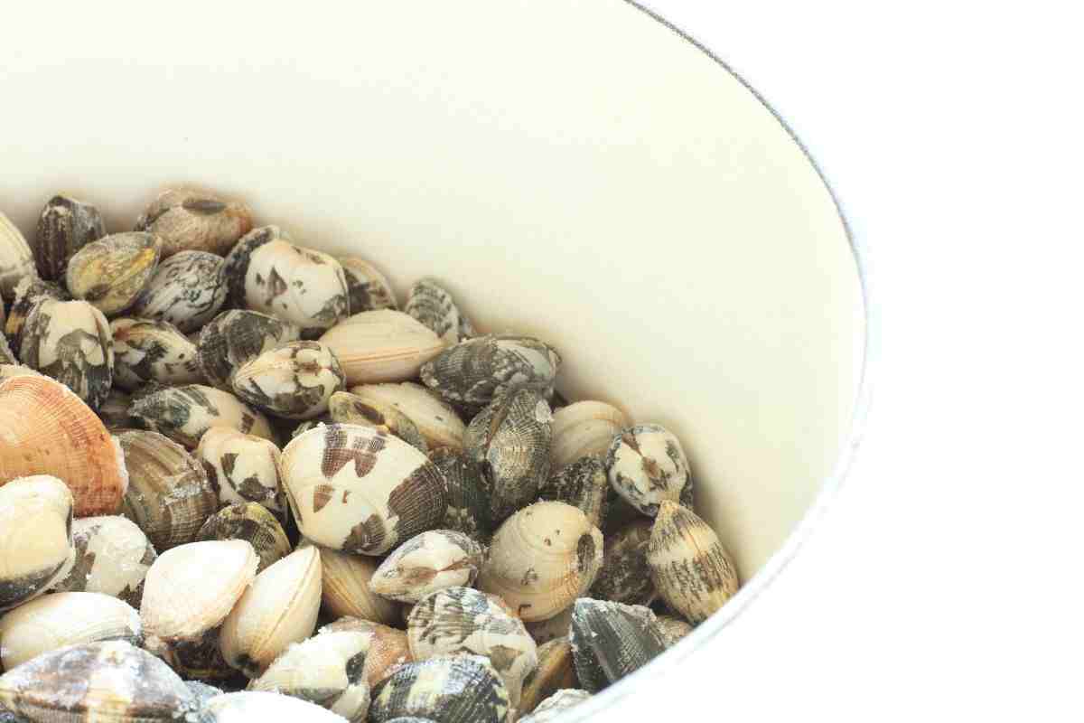 frutti di mare: questi sono pericolosi per la salute, ritiro conad