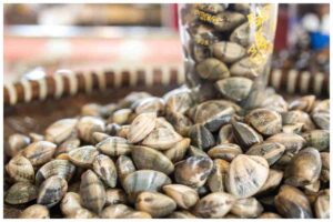 moria vongole