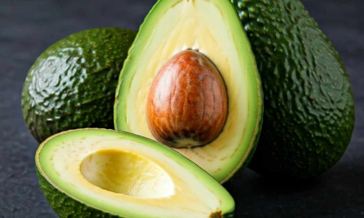 Avocado