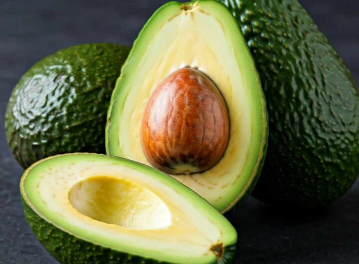 Avocado