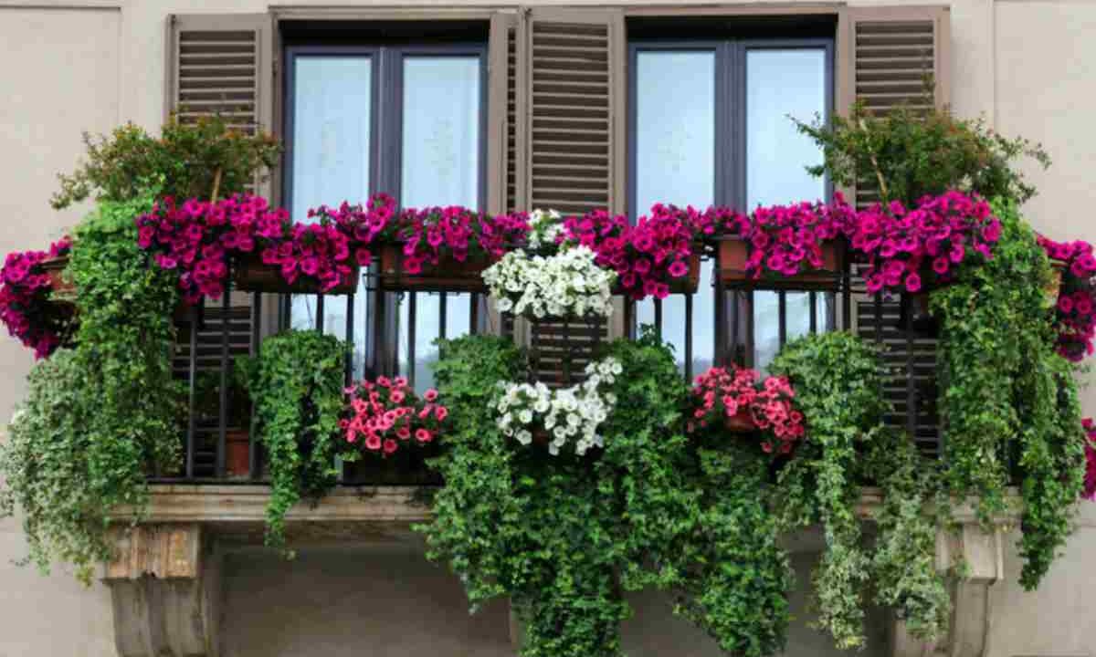 Balcone