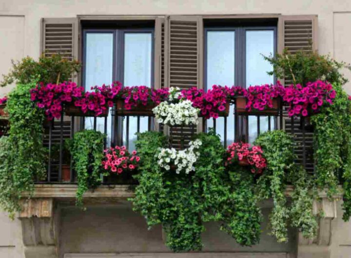 Balcone