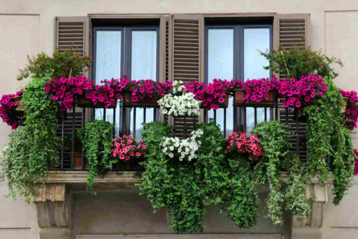 Balcone