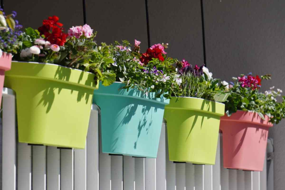 Balcone piante