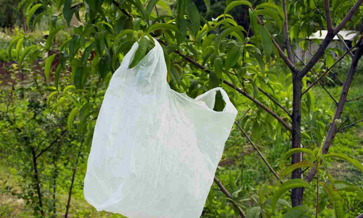 Buste plastica