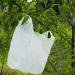 Buste plastica