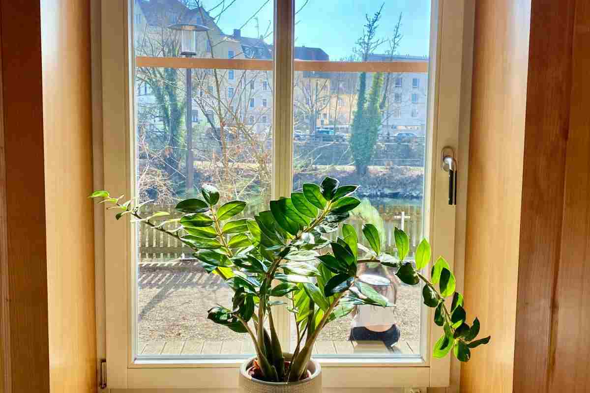 Come riscaldare la casa con il metodo delle finestre