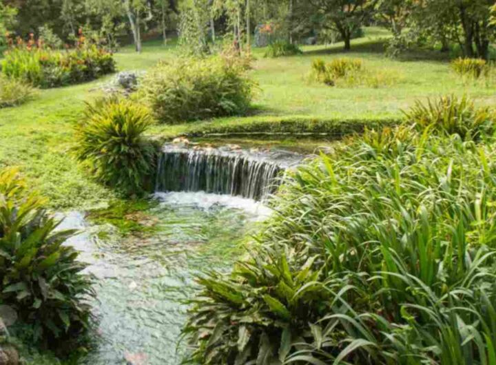 Giardino di Ninfa