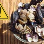 Gusci di cozze e vongole