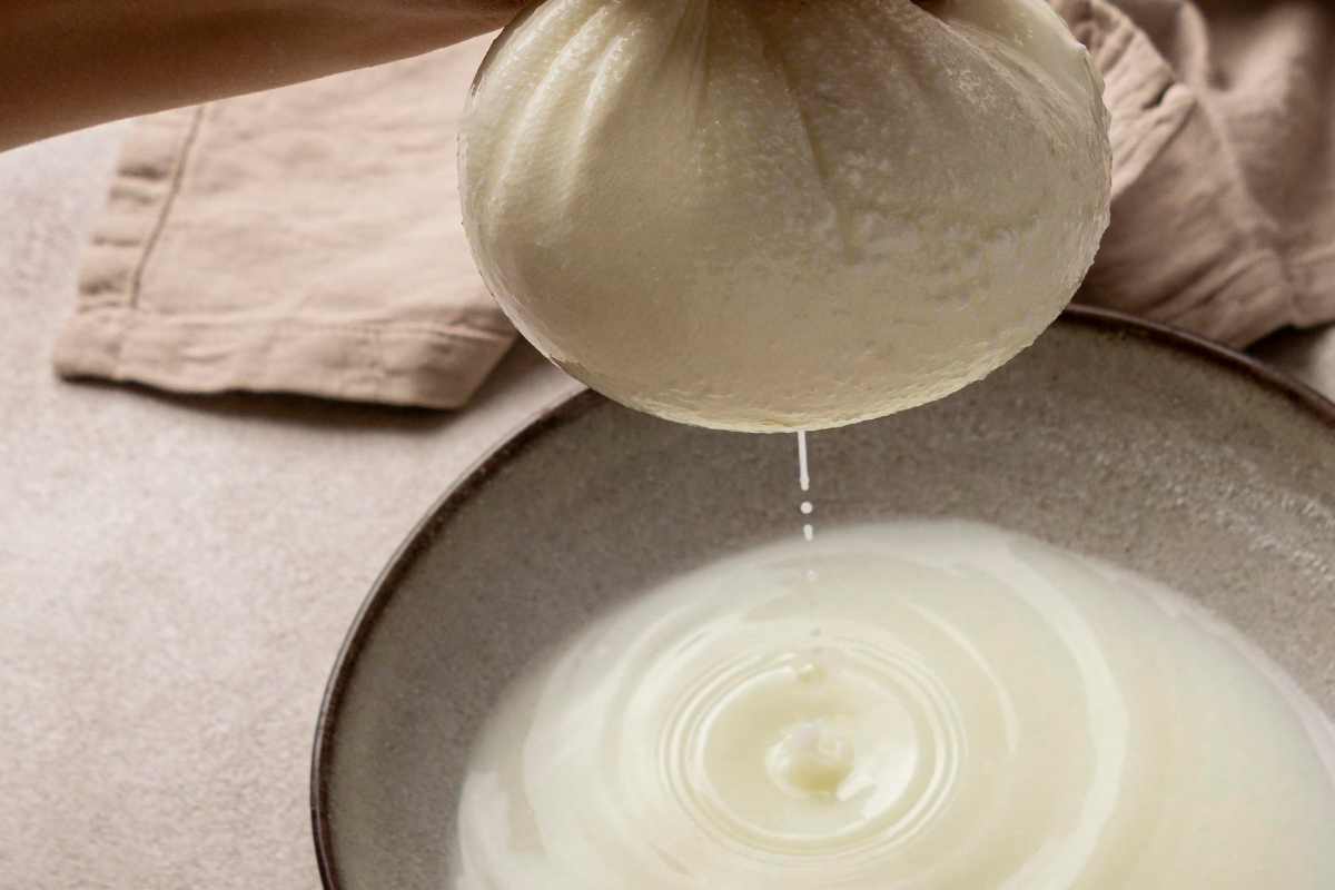 Mozzarella