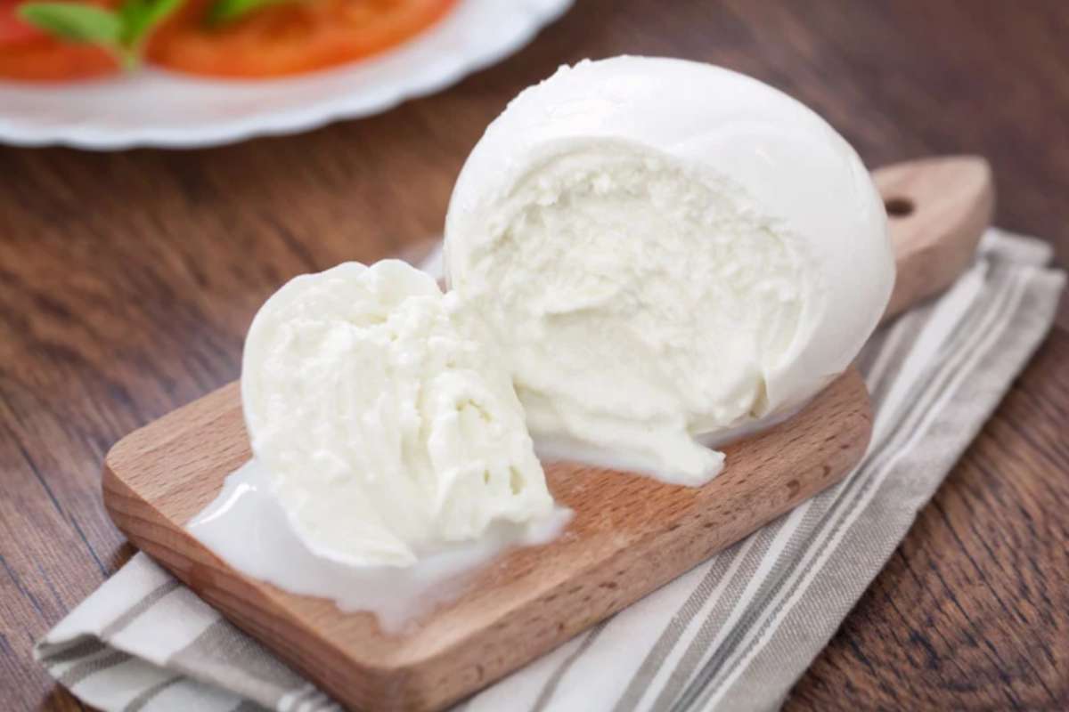 Mozzarella