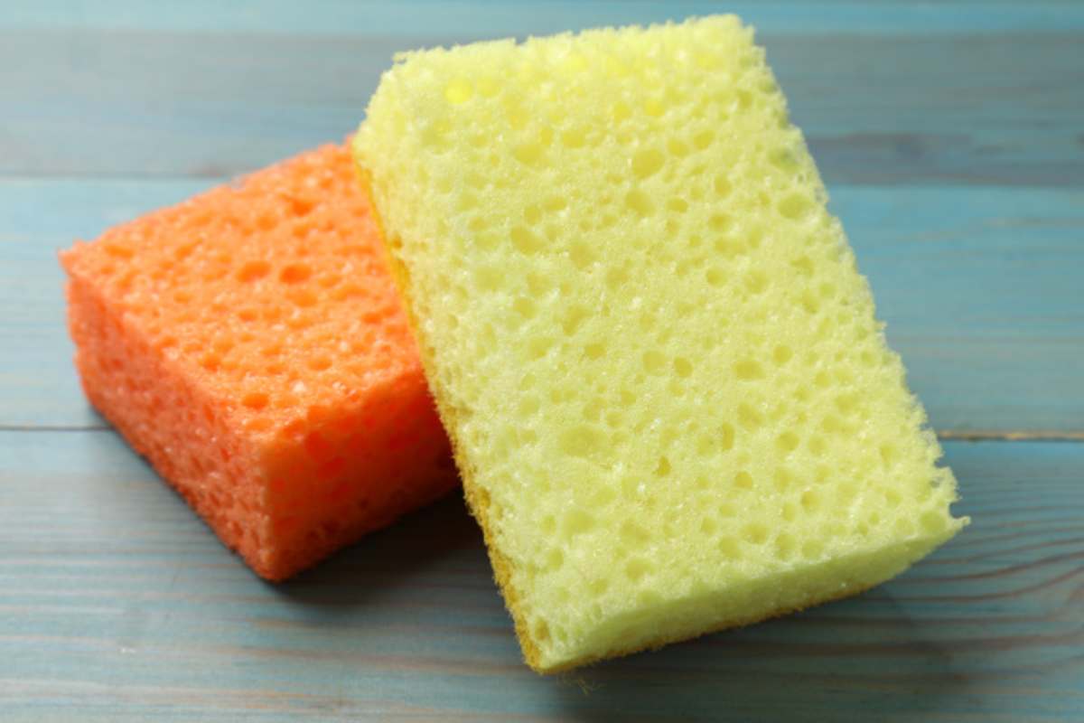 Muri 