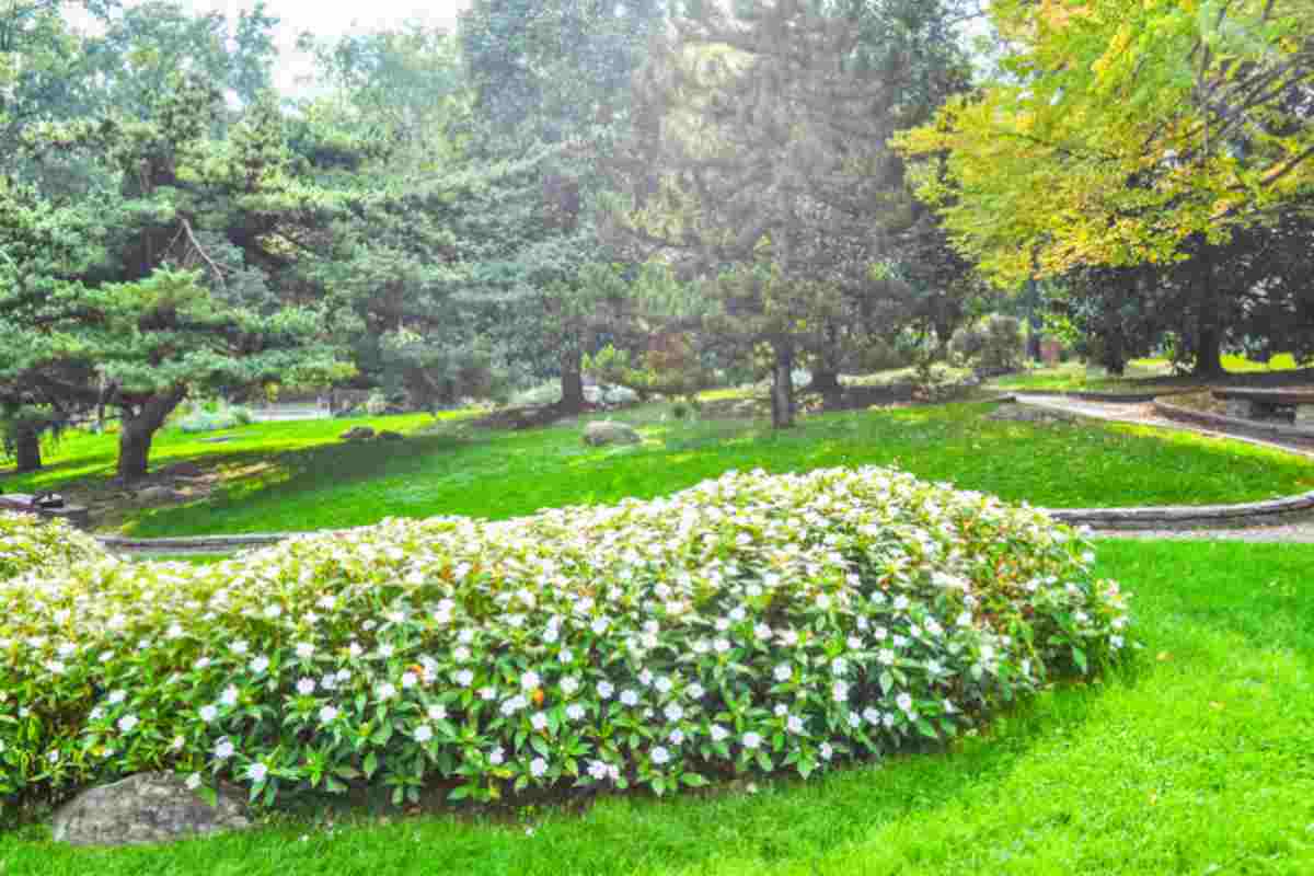 Parco del Valentino