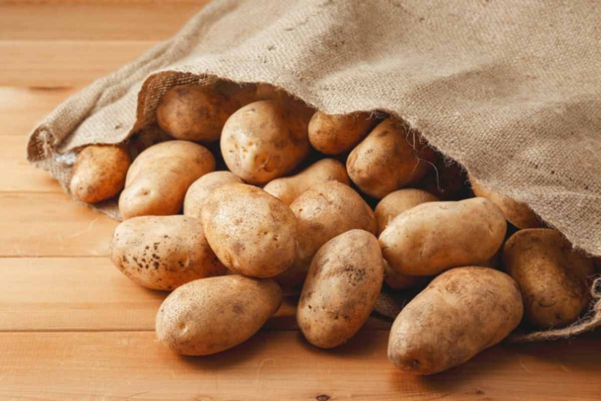 Patate