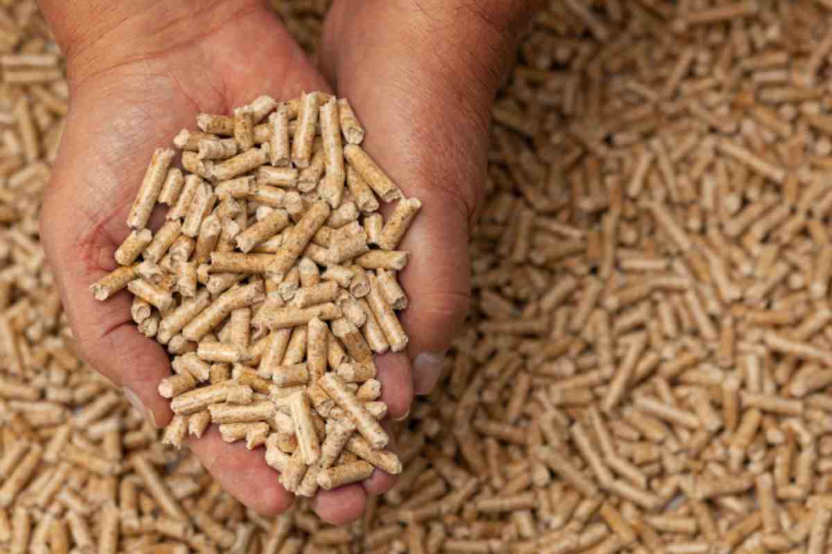 Pellet