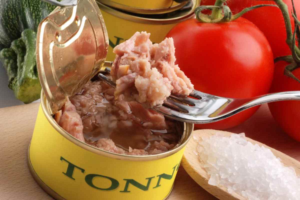 scatolette di tonno