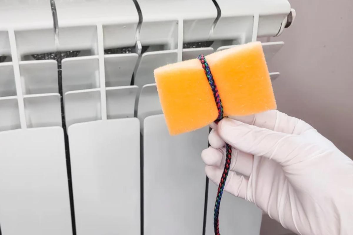 Spugna Termosifone