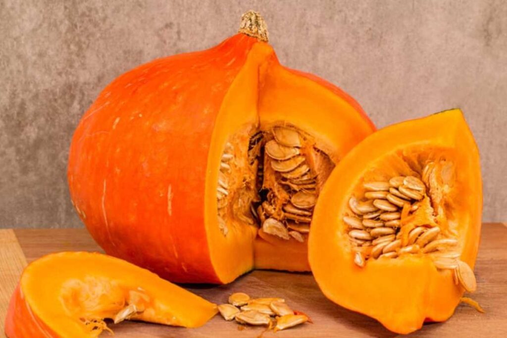 Zucca