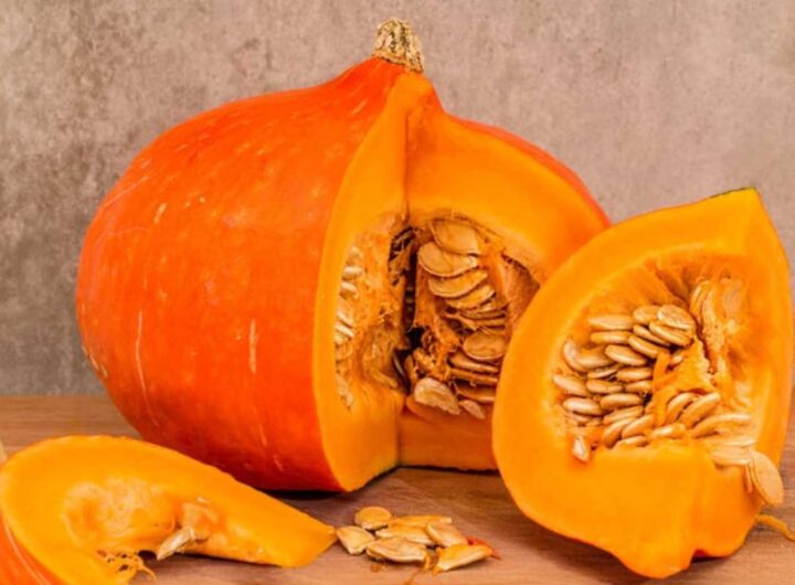 Zucca
