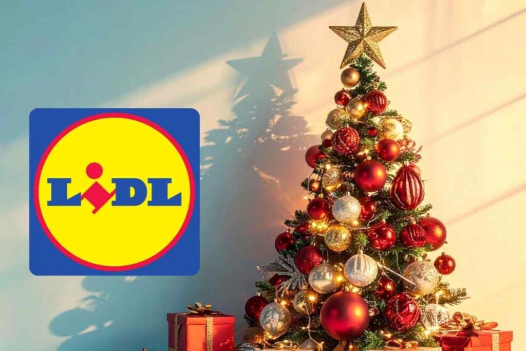 albero lidl