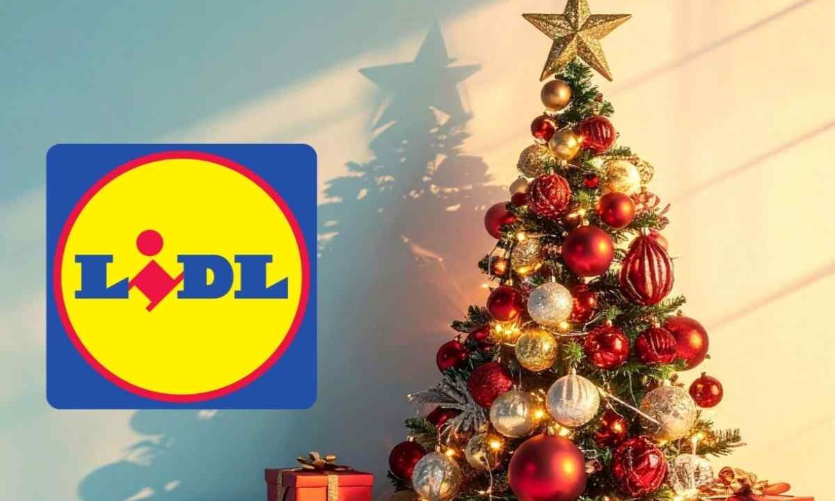albero lidl