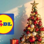 albero lidl