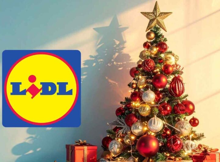 albero lidl