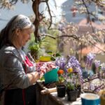 fiori da piantare inverno