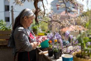 fiori da piantare inverno