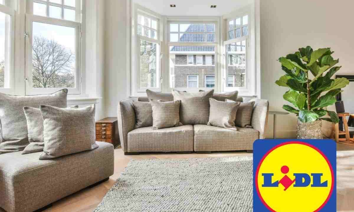 interno casa lidl