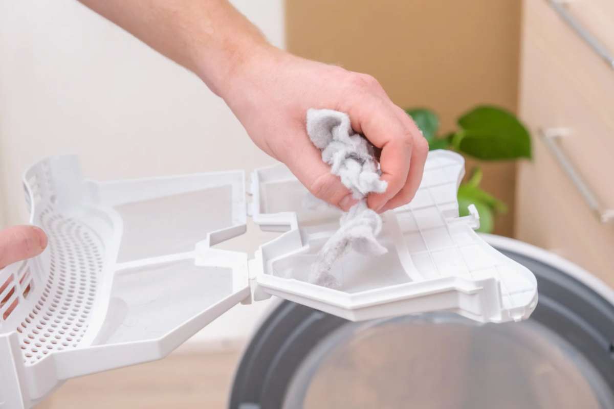 lanugine dell’asciugatrice