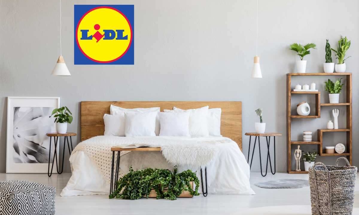 Da Ikea costano più di 50 euro, ma da Lidl le trovi a meno di 10