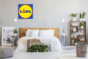 Da Ikea costano più di 50 euro, ma da Lidl le trovi a meno di 10