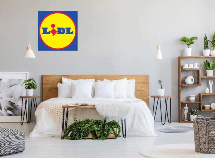 Da Ikea costano più di 50 euro, ma da Lidl le trovi a meno di 10
