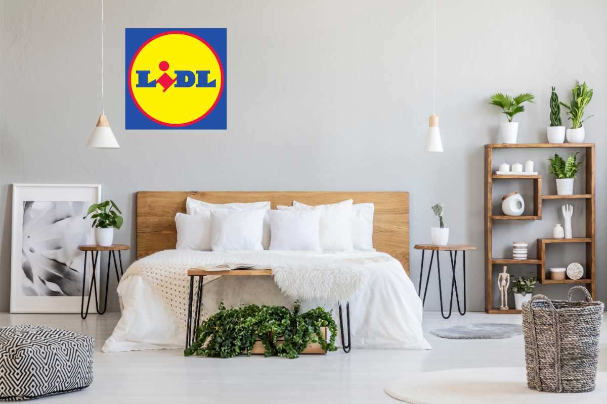 Da Ikea costano più di 50 euro, ma da Lidl le trovi a meno di 10