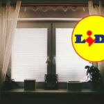 lidl: scopri la tenda termica a meno di 5 euro