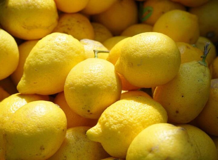 Limone in lavatrice per capi bianchi