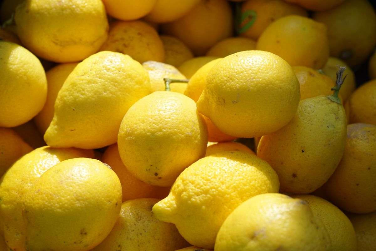 Limone in lavatrice per capi bianchi