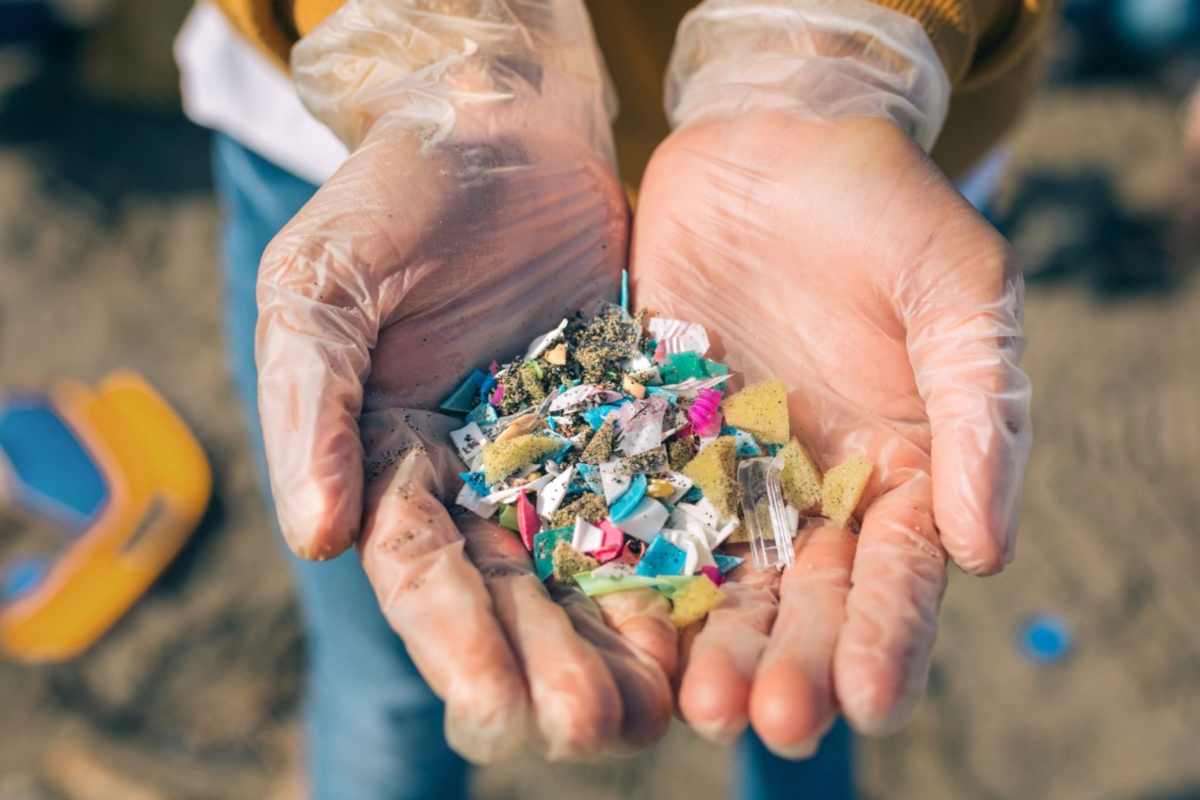 microplastiche