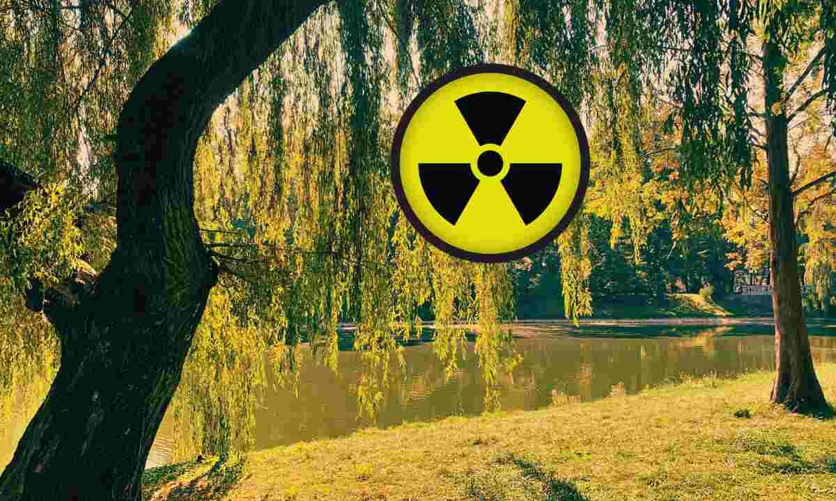 Scoperta terrificante, questo parco è radioattivo