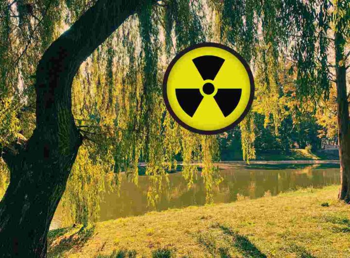Scoperta terrificante, questo parco è radioattivo