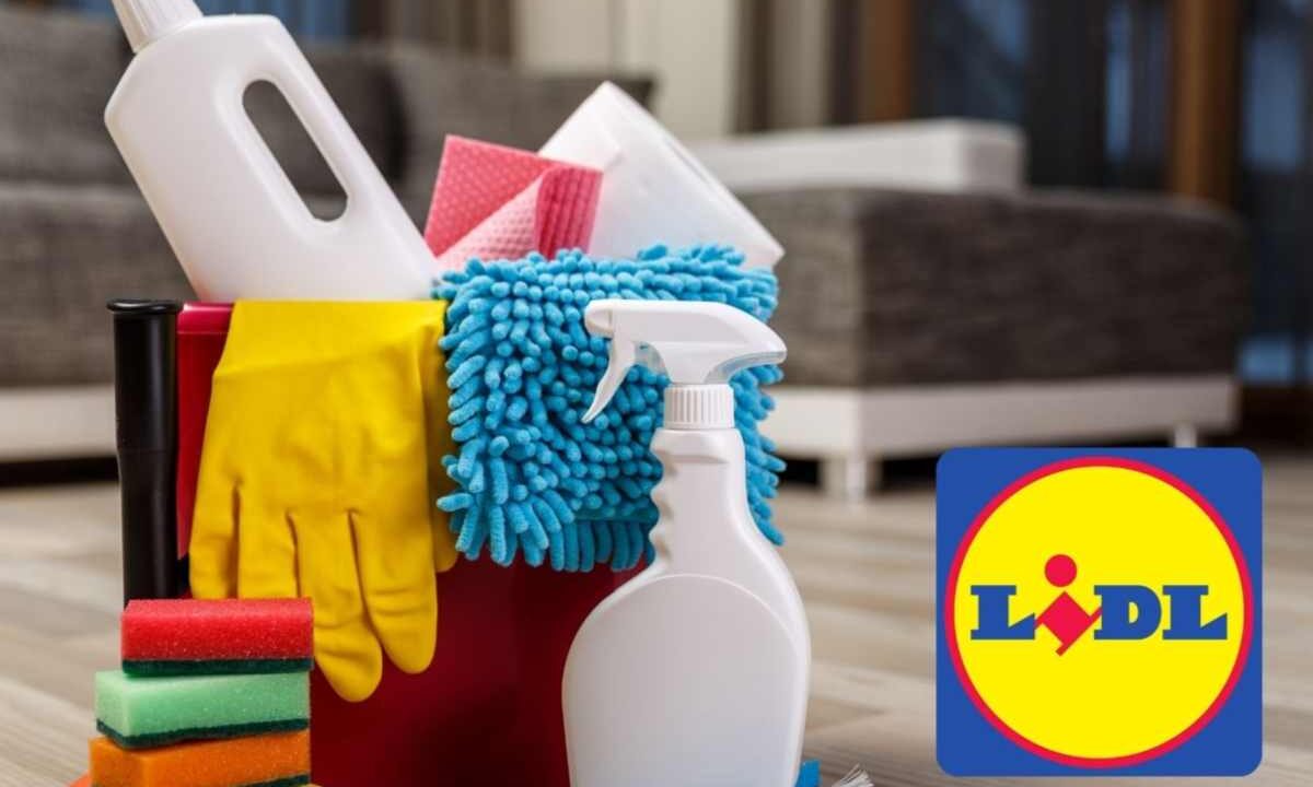 pulizie lidl