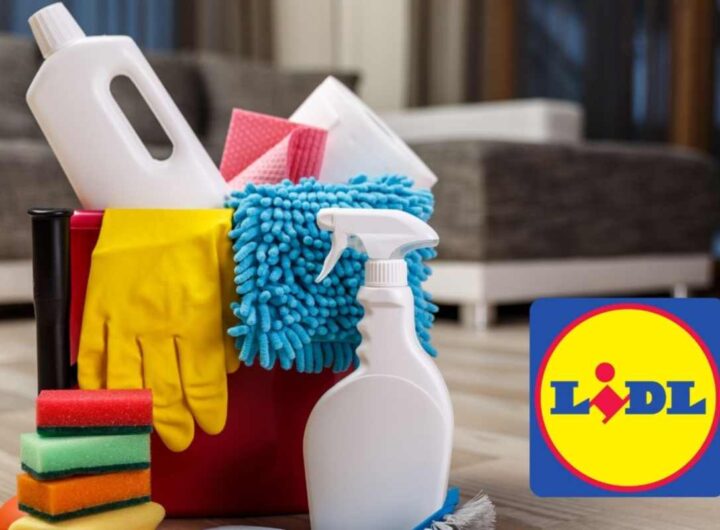 pulizie lidl
