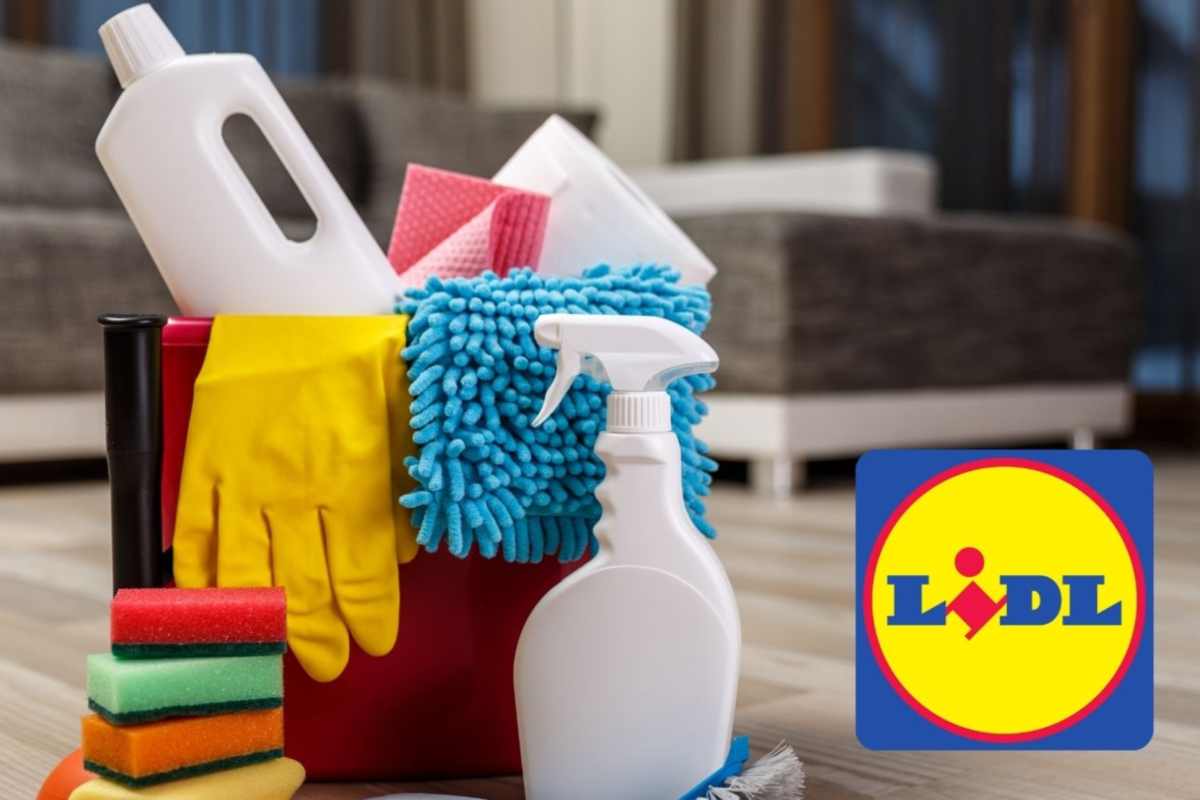 pulizie lidl