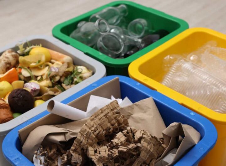 Errori nella raccolta differenziata