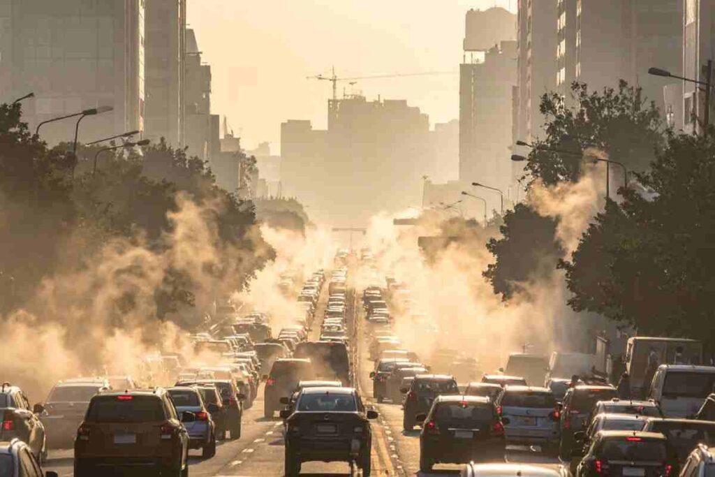 smog danni vista